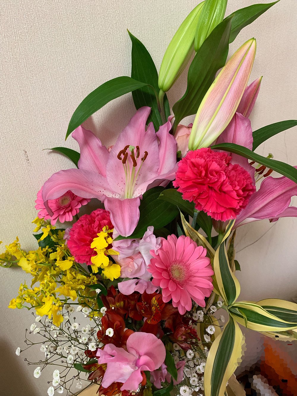 占い師エナリーのお気に入り写真